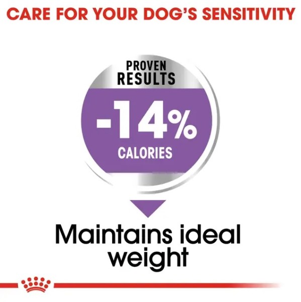 Royal Canin Sterilised Maxi - Суха храна за кастрирани кучета от големи породи за поддържане на здравословно тегло - 12 кг